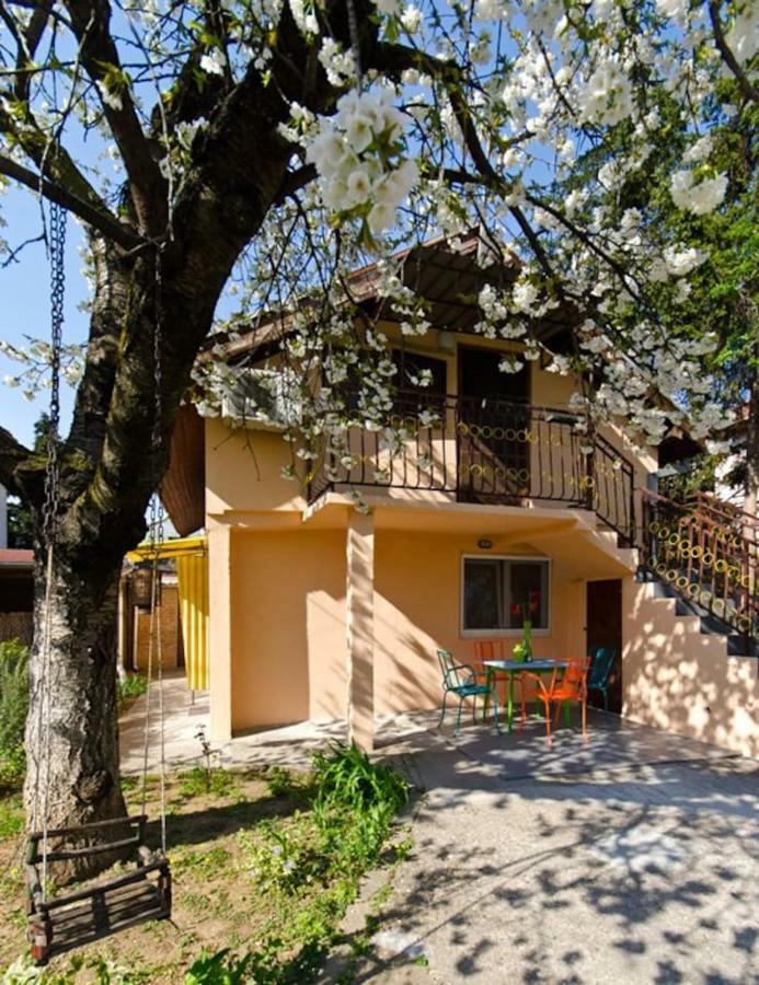 Cherry Tree Art House Beograd Eksteriør billede