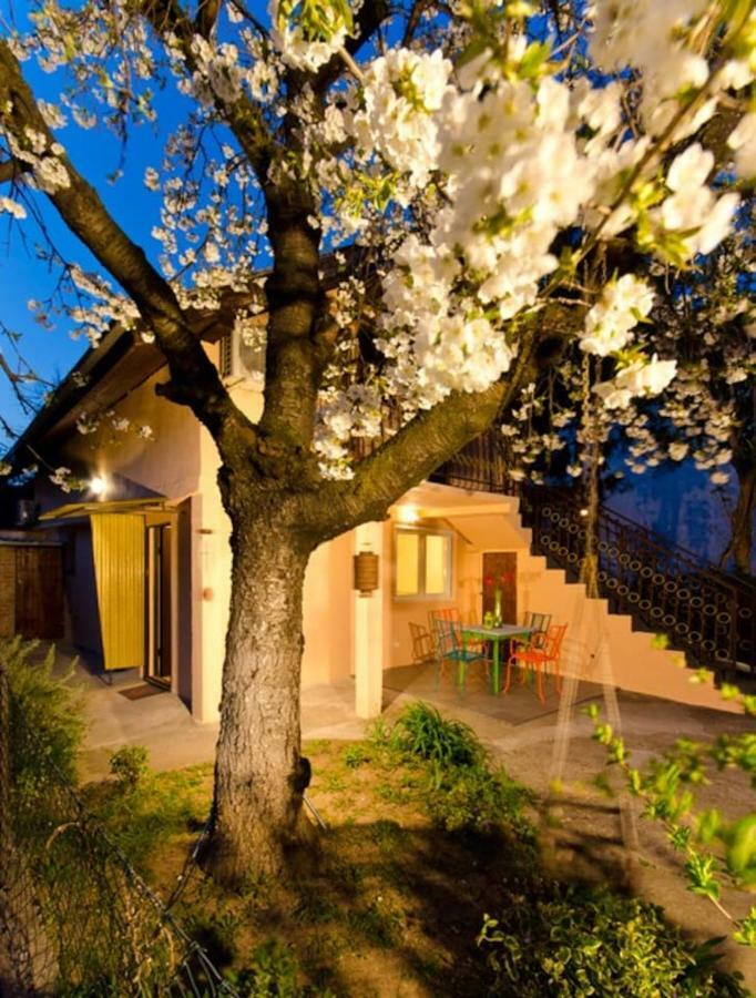 Cherry Tree Art House Beograd Eksteriør billede